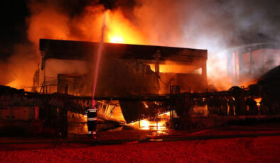Manisa'da kauçuk fabrikasında yangın
